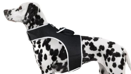 GPS Tag Pet Tracker Collar Waterproof Surveillance Tracking Device NEW Size:XL