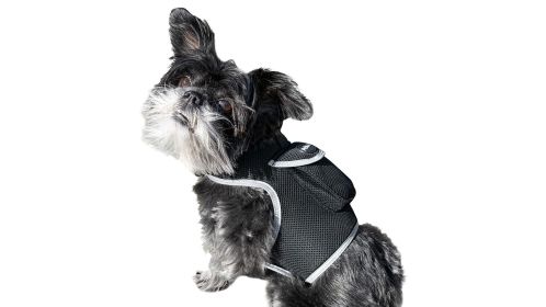 Realtime Location Finder GPS Animal Tracking Device Waterproof for Pet Size:M