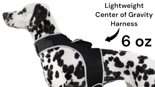 Realtime Rechargeable GSM GPRS Tracking Device Mini Pet Collar Tracker Size:M