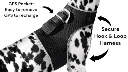 NEW GSM GPRS Realtime Mini Collar Tag Pet Tracker Portable GPS Locator Size:XS