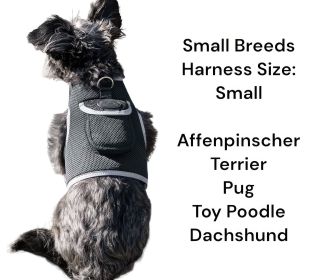 Rechargeable Water/Dust Resistant Pocket GSM GPS Pet Tracker for Cats Size:XXL